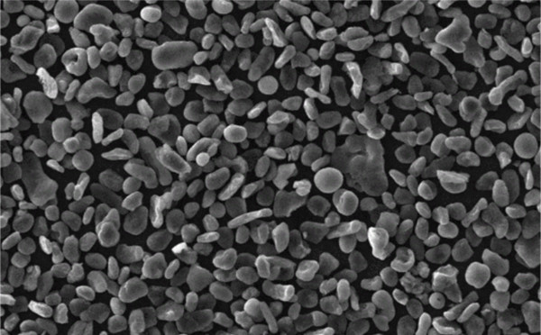 電極材料的準(zhǔn)備 電極材料的準(zhǔn)備